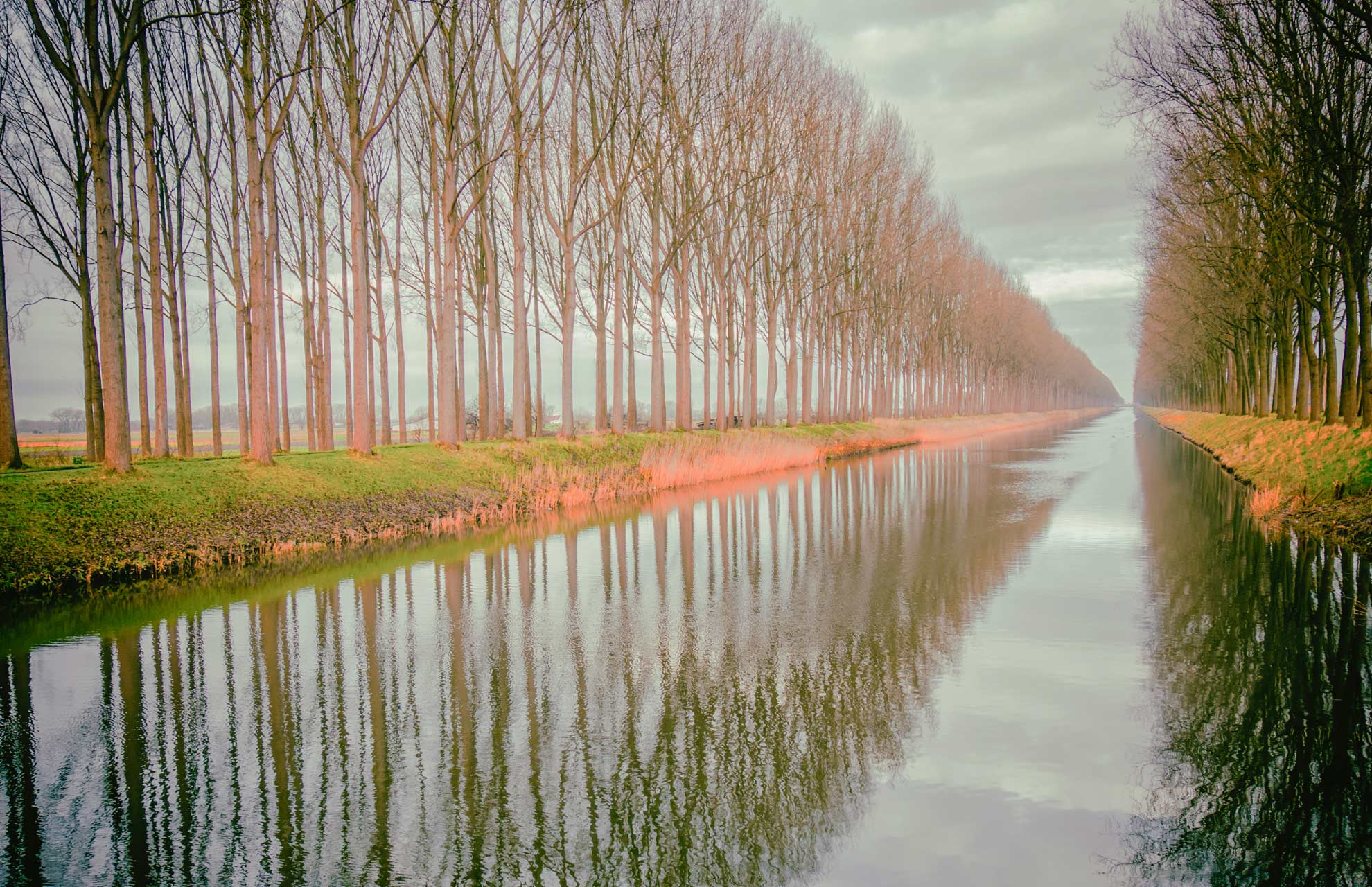 Damme 1